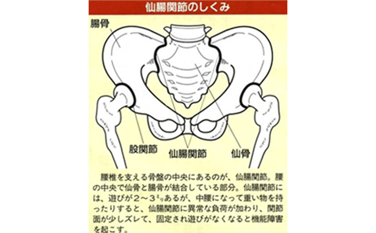 男性の勃起不全の最も一般的な原因はです